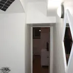 Elite Lviv